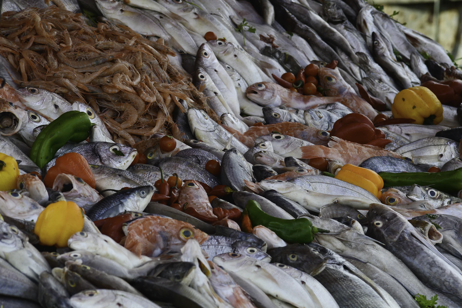 Fresh seafood at Essaouira's market